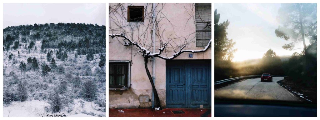 collage17