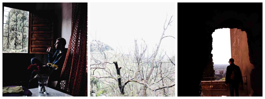 collage19