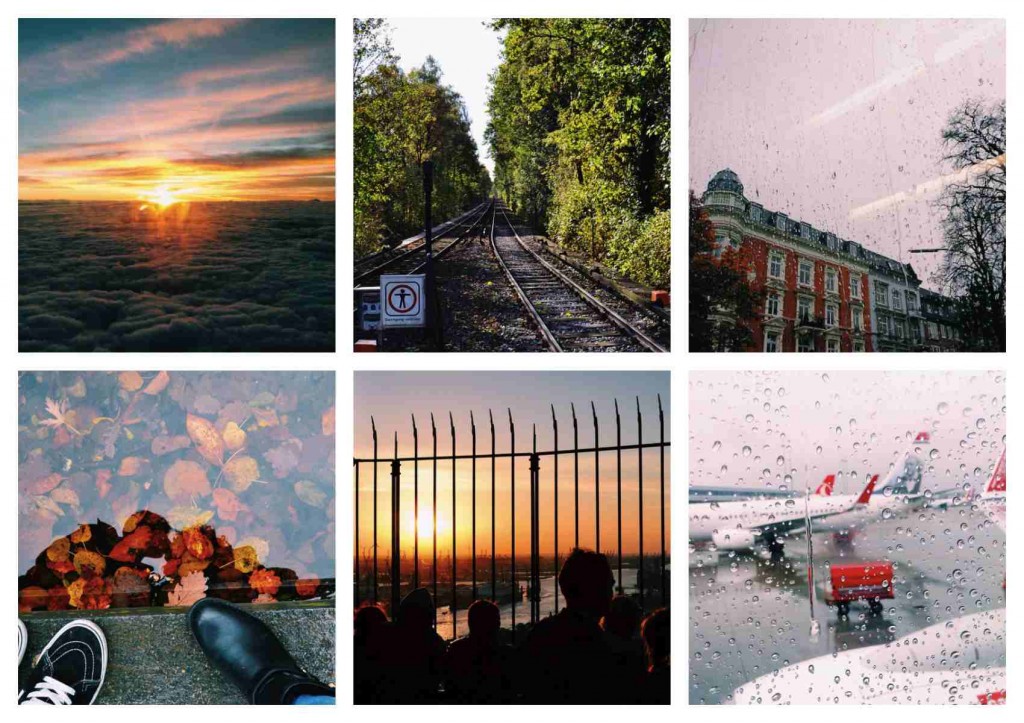 collage2